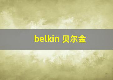 belkin 贝尔金